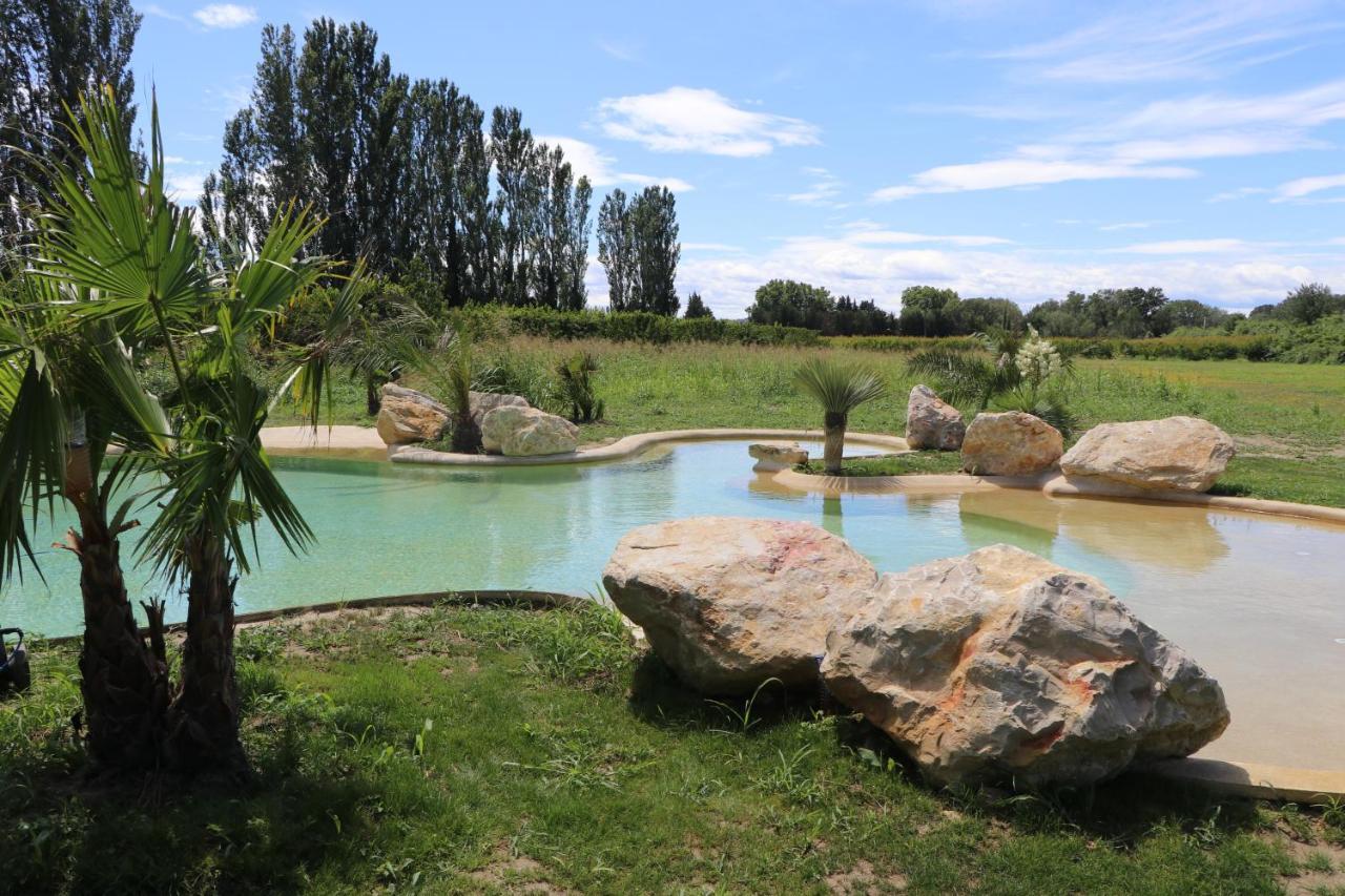 אביניון Le Mas Des Cerisiers Jacuzzi Et Sauna Inclus Pour Tous Les Logements מראה חיצוני תמונה