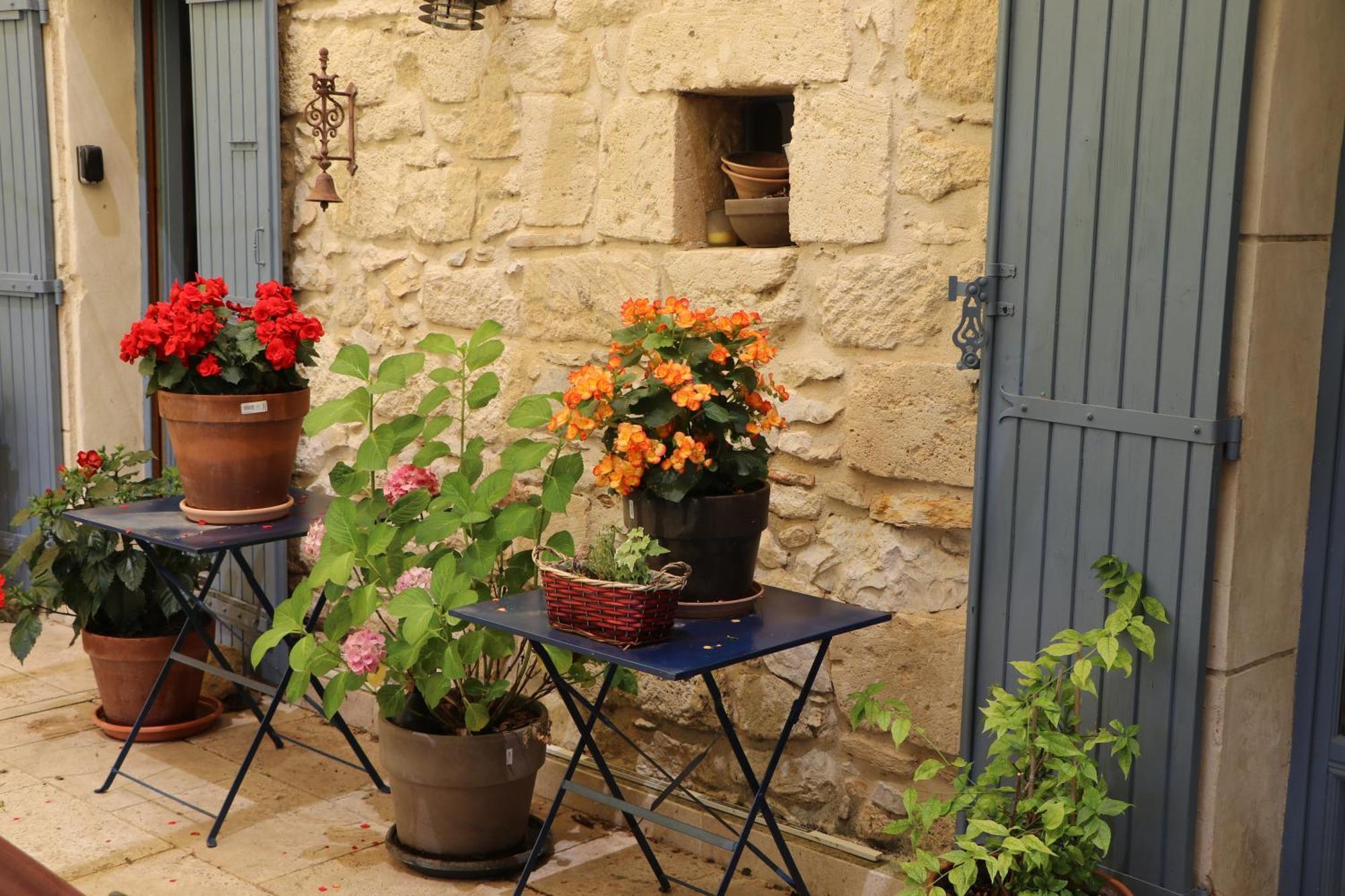 אביניון Le Mas Des Cerisiers Jacuzzi Et Sauna Inclus Pour Tous Les Logements מראה חיצוני תמונה